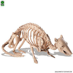 Squelette de rat 13x32 cm