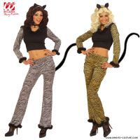 Teenager-Zebrakatze