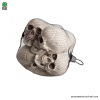 Set 6 Teschi 7 cm