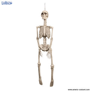 Skelett 92 cm