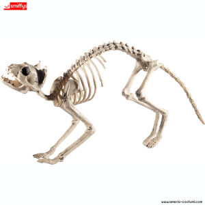 Chat Squelette 60x12x25 cm