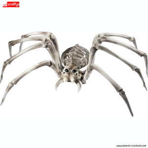 Spider Skeleton 22x4 cm