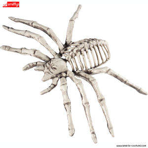 Little Spider Skeleton