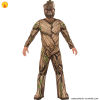 Groot Jr