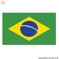 Bandeira Brasil 90x150 cm