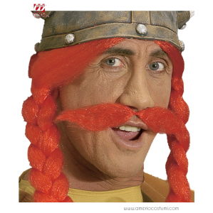 moustaches rouges du SCHNAUZER