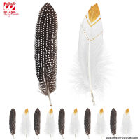 Lot de 12 plumes indiennes