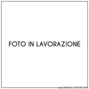 Addobbo FILZA FOTOGRAFIA CON LUCI - 160x16 cm