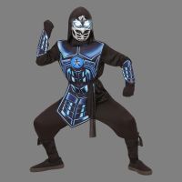 Cyber Ninja Teen