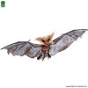 PIPISTRELLO in tessuto
