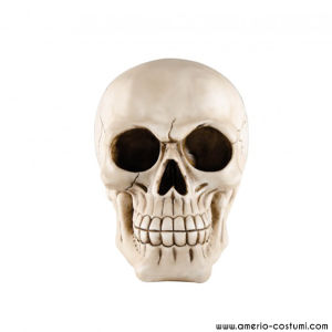 Large Resin Skull