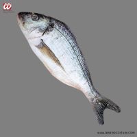 Peixe de tecido 55 cm