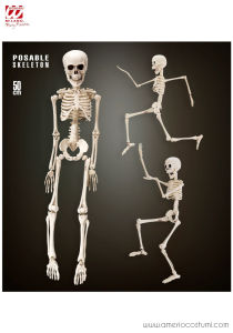 Skeleton 50 cm