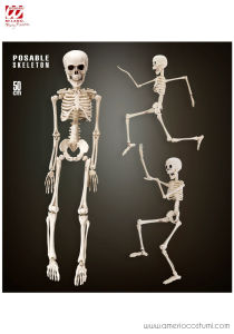 Skelett 50 cm