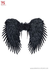 BLACK FEATHERED WINGS 80x65 cm