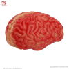 Creier de mărime umană
