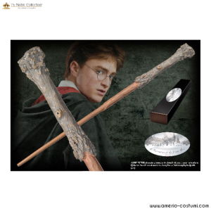 Harry Potter’s Wand