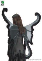 SCHMETTERLINGSFLÜGEL - SCHWARZ