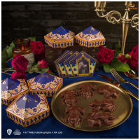 Set Chocolate Frog Mold