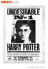 Mini poster - Harry