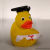 Yellow Duck - Graduated