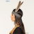 Indian Headband with Feathers