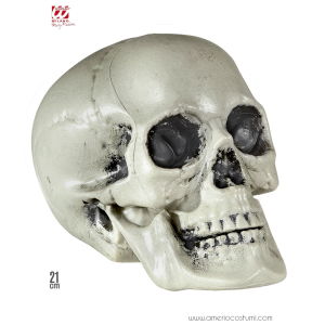 Plastic Skull 21 cm