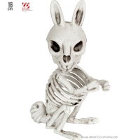 esqueleto de conejo