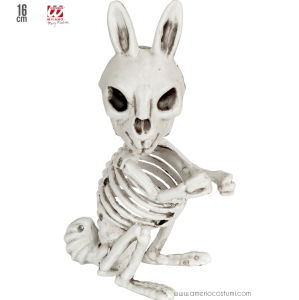 Rabbit skeleton