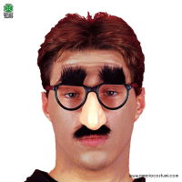 LUNETTES AVEC NEZ