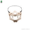 Máscara Esqueleto Mandíbula com dentes pontiagudos