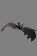 Chauve-souris à suspendre 24 cm