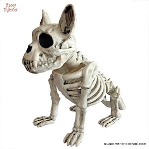 Dog skeleton 28 cm