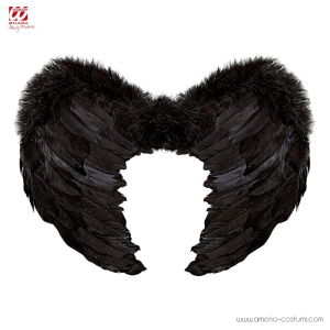 Black feathered wings 37x50 cm