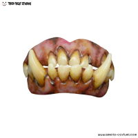 Oger-Zahnprothesen