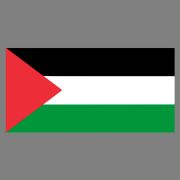 Drapeau Palestine 90x150