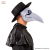 White Plague Doctor Mask