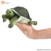 Mini-Schildkröte