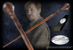 Professor Remus Lupin's Wand