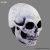 Masca White Skull