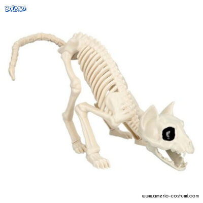 Katzenskelett 51 cm