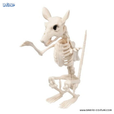 Rat skeleton 18 cm