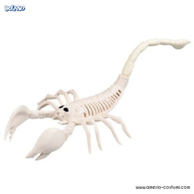 Schelet de scorpion 31 cm
