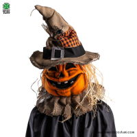 Pumpkin mask dlx 