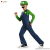 Luigi Super Mario Bros Jr