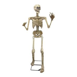 Esqueleto Johnny lsm150 cm