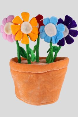 Chapéu Flores em vaso