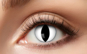 Lenses Black Cat