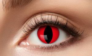 Lenses Red Cat