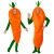 Carota